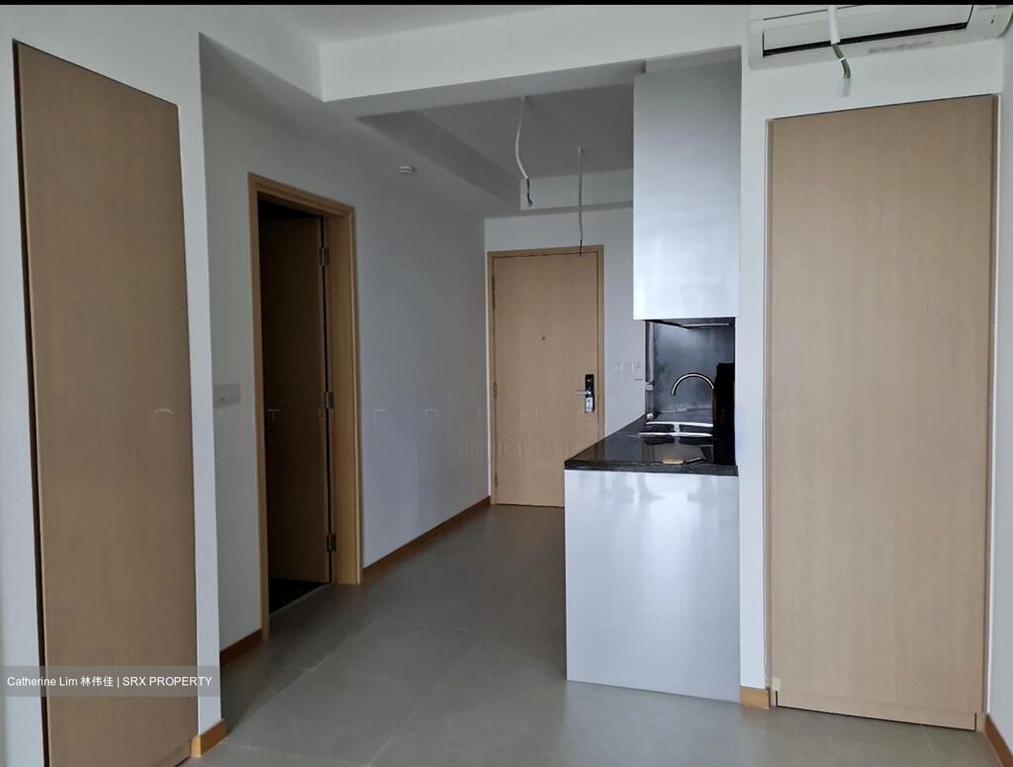 The Antares (D14), Apartment #499083831